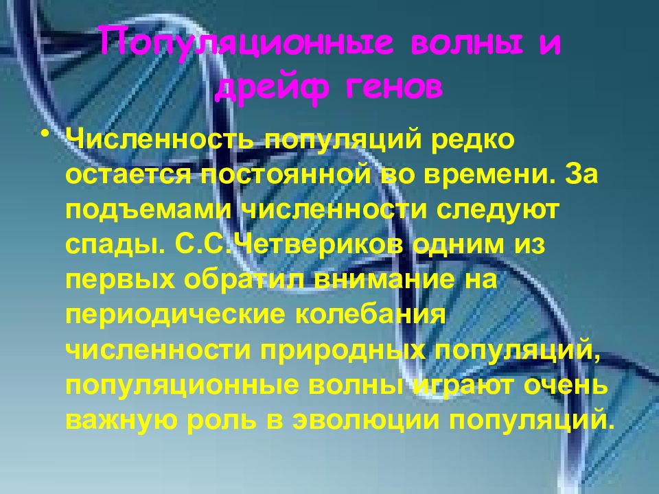 Суть остается неизменной. Четвериков дрейф генов. Популяц волны. Волны численности и дрейф генов. Генетико автоматические процессы результат действия.