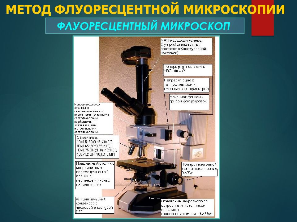 Микроскопия принцип метода