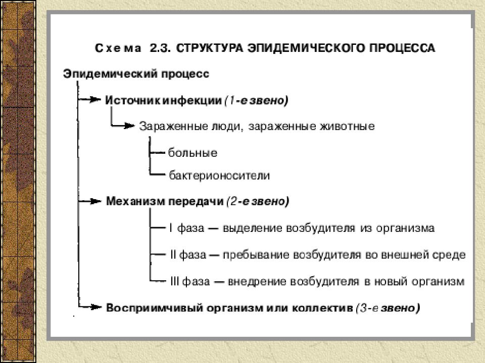 Эпидемический процесс и меры воздействия схема