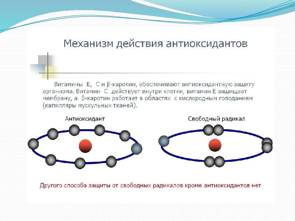 Что такое антиоксиданты