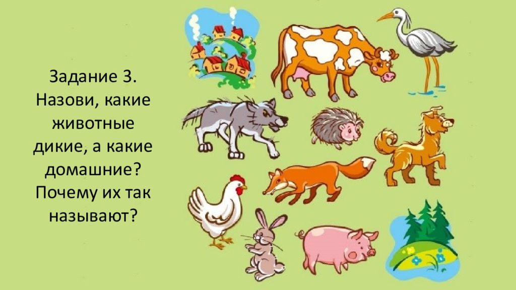 Включи где животные детям. Дикие и домашние животные. Домашние и Дикие животные для детей. Дикие и домашние животные детский сад. Рисунки диких и домашних животных.