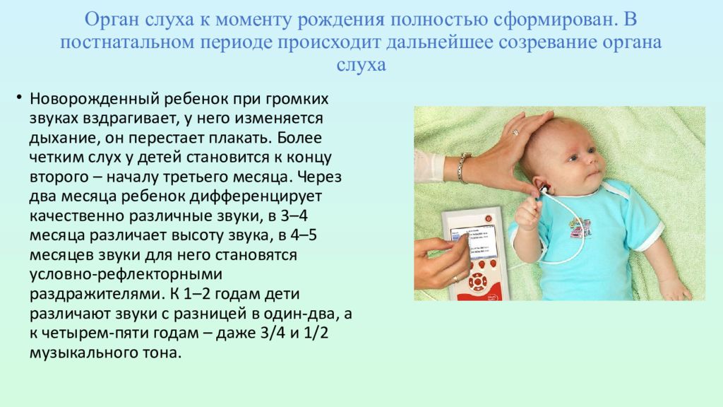 4 месяца не реагирует. Слух новорожденного этапы развития. Слух у новорожденного ребенка. Слух у ребенка в 1 месяц. Слух у детей в 2 месяца.