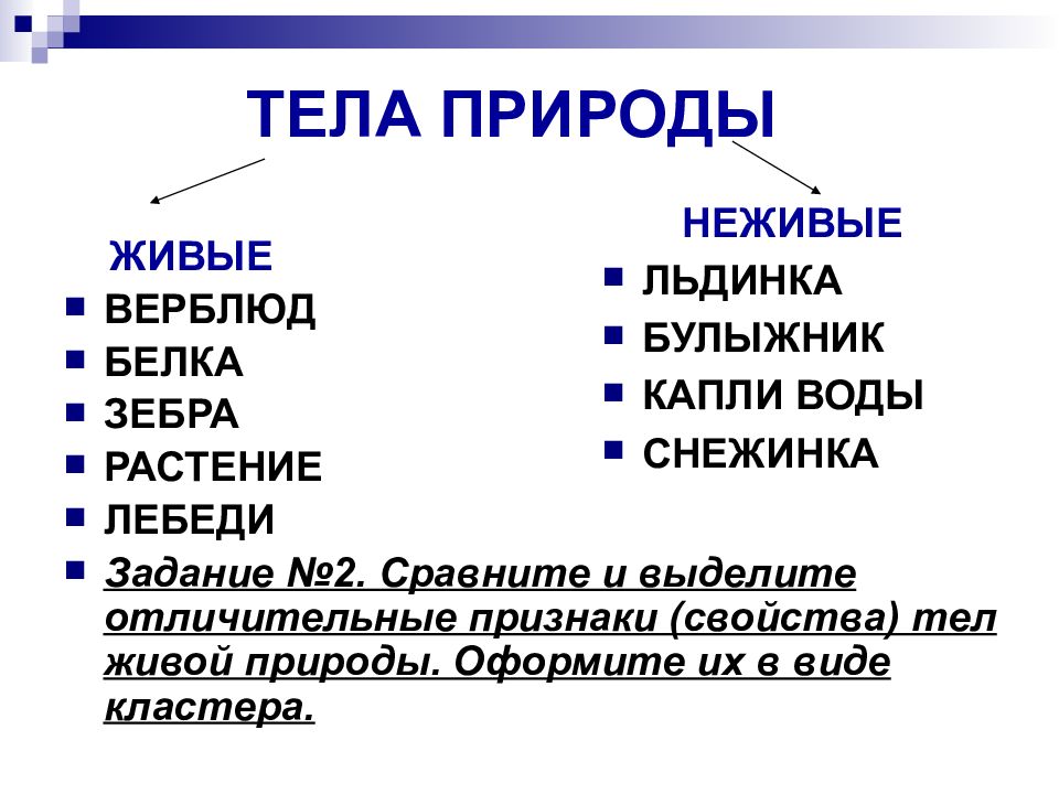 Признаки свойства. Тела живой и не живой природы. Тела природы. Таблица Живая и неживая природа. Признаки живой и неживой природы.