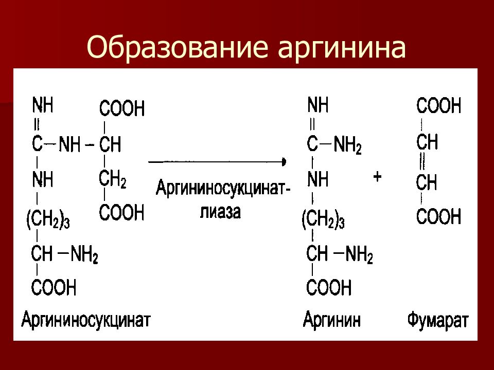 Л образование. Синтез аргинина из орнитина. Синтез аргинина биохимия. Стереоизомер аргинина. Образование аргинина биохимия.