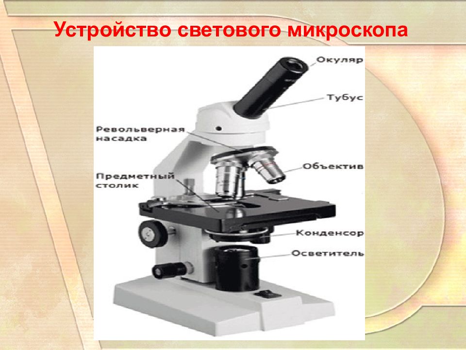 Устройство светового микроскопа. Микроскопический метод исследования бактерий. Микроском пример. Зеркало в микроскопе способ освещения.