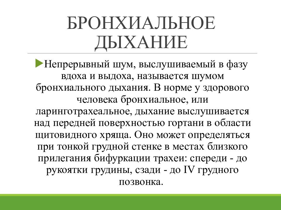 Бронхиальное дыхание выслушивается. Бронхиальное дыхание в норме. Аускультация бронхиального дыхания. У здорового человека бронхиальное дыхание.