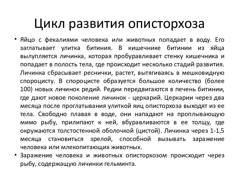 Описторхоз симптомы у взрослых диагностика и лечение картинки