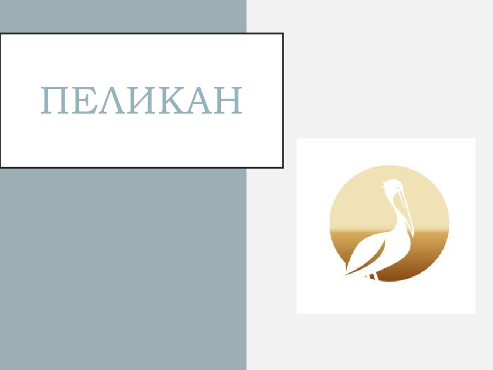 ПЕЛИКАН