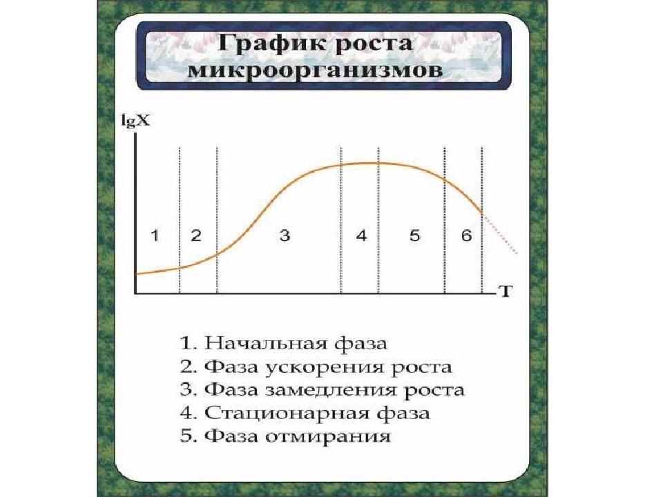 Стимуляторы роста микроорганизмов. Влияние растительных экстрактов на рост микроорганизмов. Стимуляторы роста микроорганизмов. Стимуляторы роста микроорганизмов. Стимуляторы роста микроорганизмов.