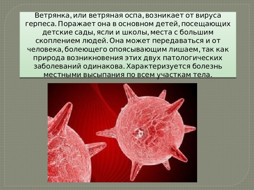 Оспа микробиология презентация