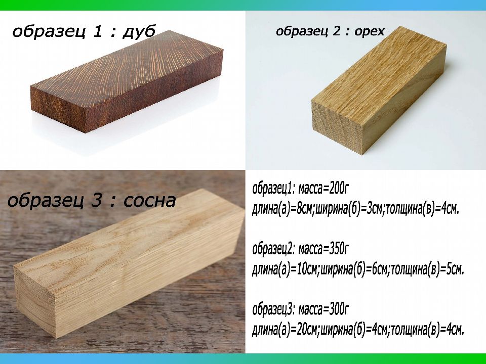 Презентация древесина 5 класс