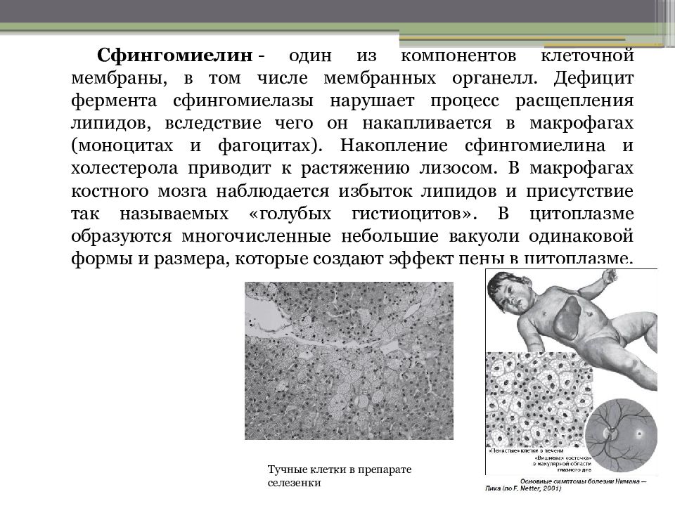 Болезнь пика презентация