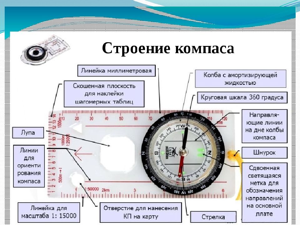 Рассмотри схему составных частей компаса