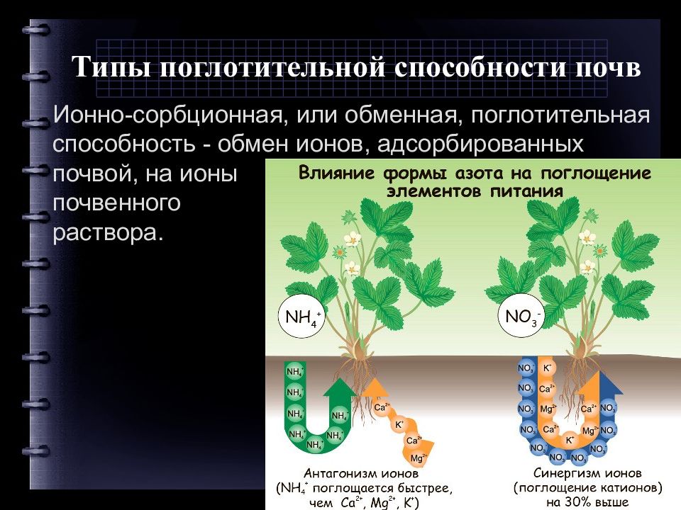 Поглотительная способность почвы презентация