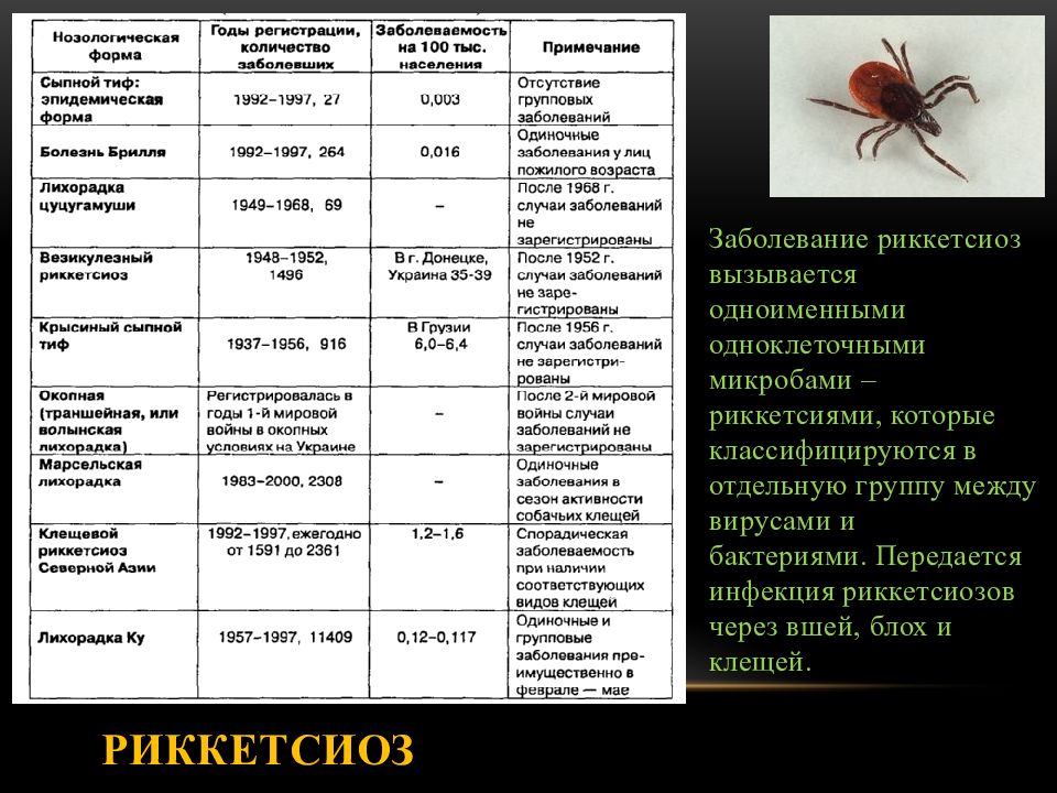 Клещевой энцефалит возбудитель. Клещевой риккетсиоз инфекционные болезни. Клещевой риккетсиоз переносчик. Клещевой риккетсиоз источник заболевания. Таблица возбудители риккетсиозов.