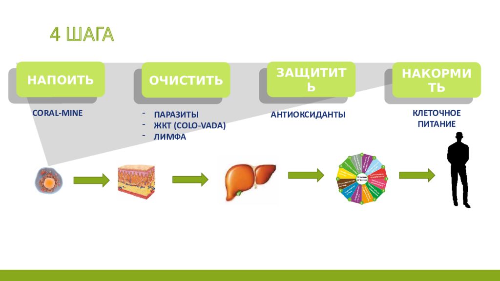 Концепция здоровья коралловый клуб краткая презентация