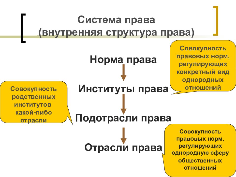 Презентация система права основные институты отрасли права