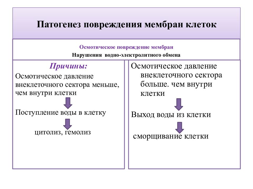 Нарушения клетки. Схема патогенеза повреждения клетки. Механизмы повреждения клеточных мембран. Этиология повреждения клетки. Патогенез повреждения мембран клеток.