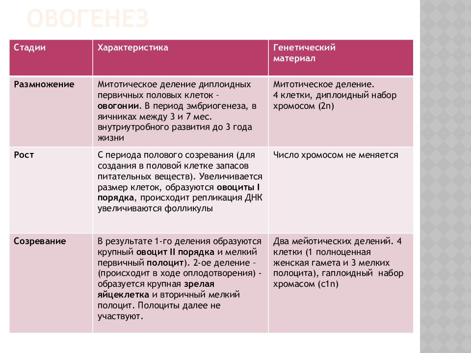 формирования образования половых клеток. образование половых клеток таблица 10 класс. сперматогенез и гаметогенез у покрытосеменных. образование половых клеток гаметогенез этапы. гаметогенез 11 класс.