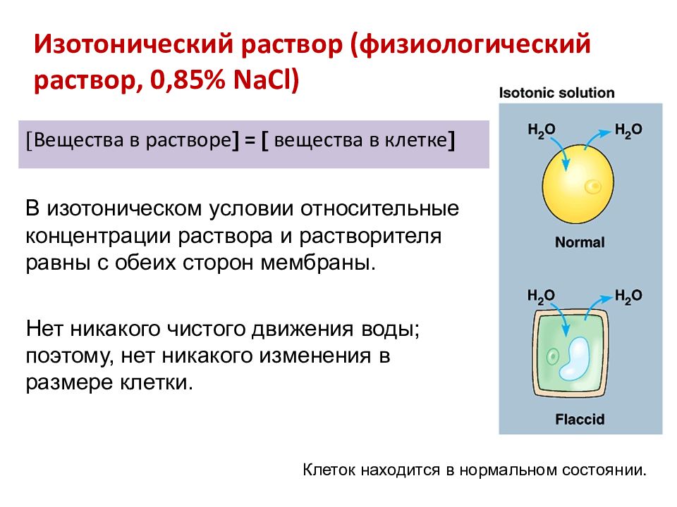 Содержание nacl. Изотонические растворы. Изотоническикий раствор. Изотонический (физиологический) раство. Изотонический физиологический раствор.