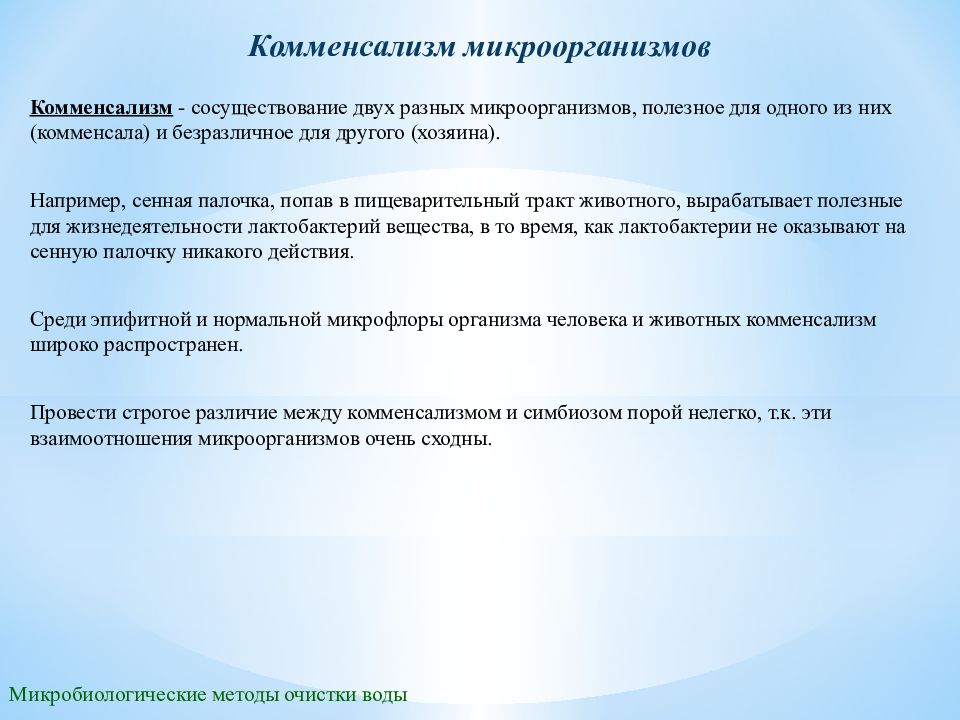 Комменсалы это. Комменсализм микроорганизмов примеры. Комменсализм примеры микробиология. Комменсализм микробиология. Комменсализм примеры бактерий.