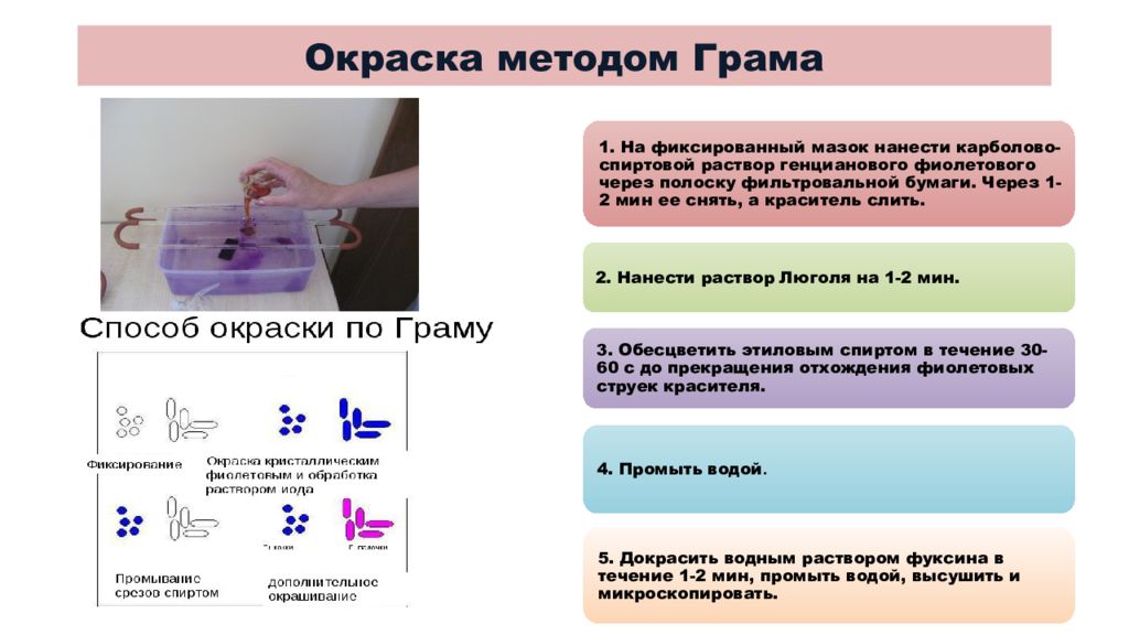 Приготовление по грамму. Метод окраски мазков по Граму. Окраска мазков по Граму методика. Окраска мазка по Граму алгоритм. Окраска мазка по методу грама.