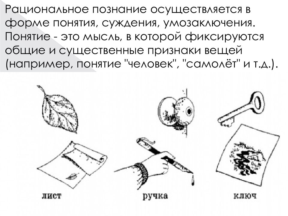 Омонимы черный. Омонимы рисунки. Омонимы для дошкольников. Омонимы раскраска. Омонимы примеры.