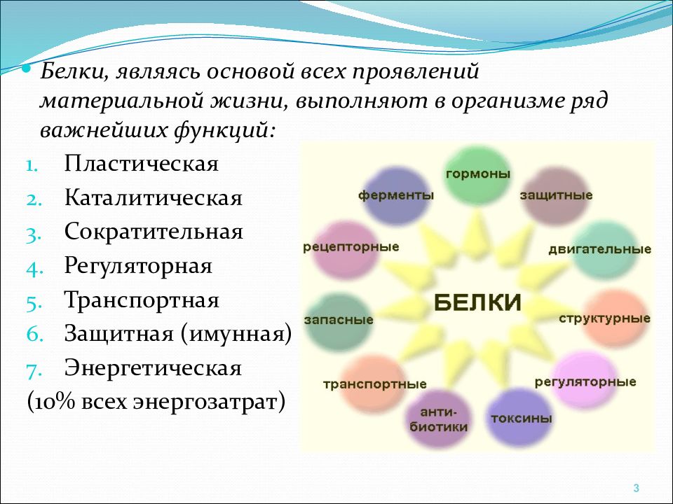 Применение аминокислот презентация