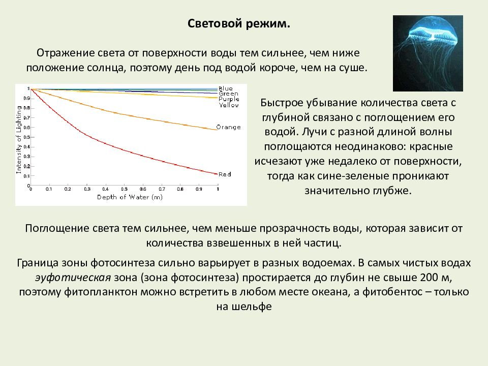 Световой режим виды