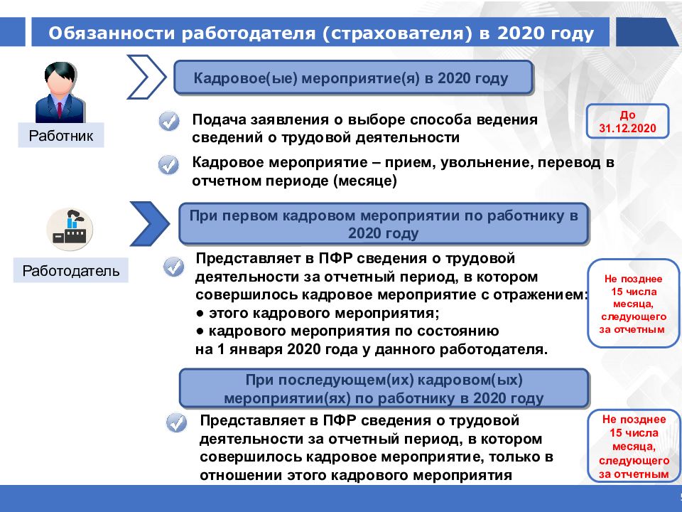 Сведения о трудовой деятельности предоставляемые работнику работодателем образец заполнения