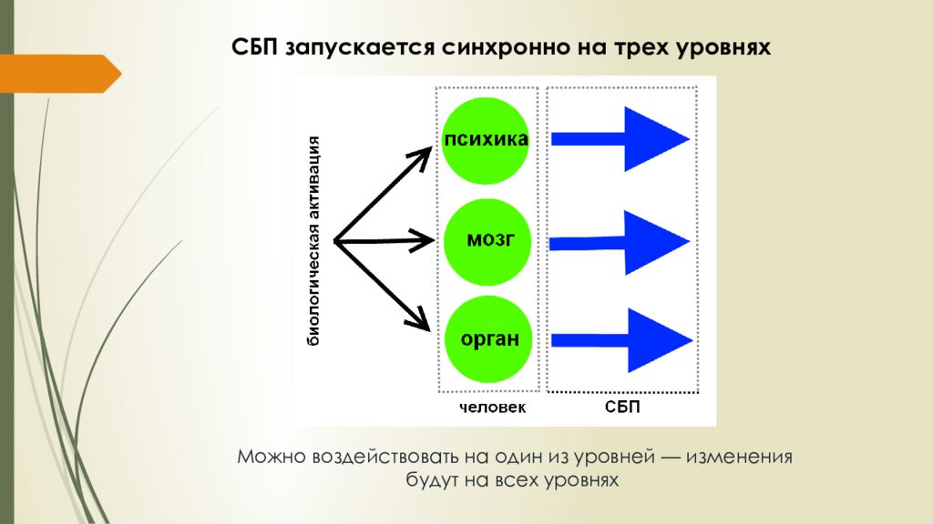 Отношение 3 к 1 2