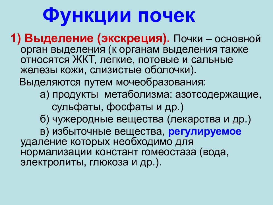 Функции почек. Функции выделения. Функции органов выделения. Почки – главный орган выделения. Функции почки..