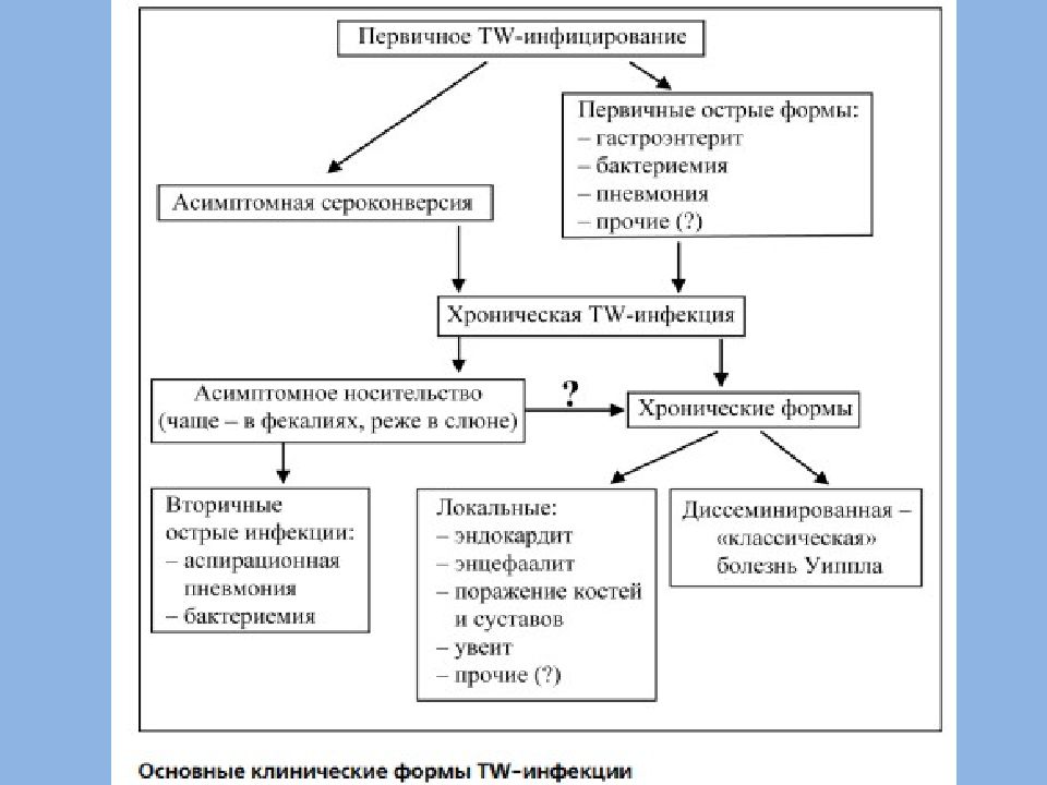 Болезнь уиппла картинки