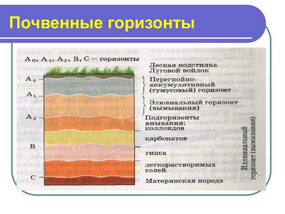 Типы почв схема