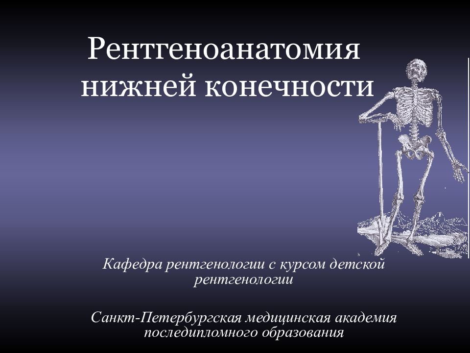 Рентгеноанатомия нижней конечности