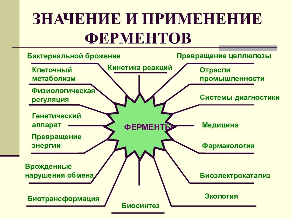 Ферменты презентация 10 класс