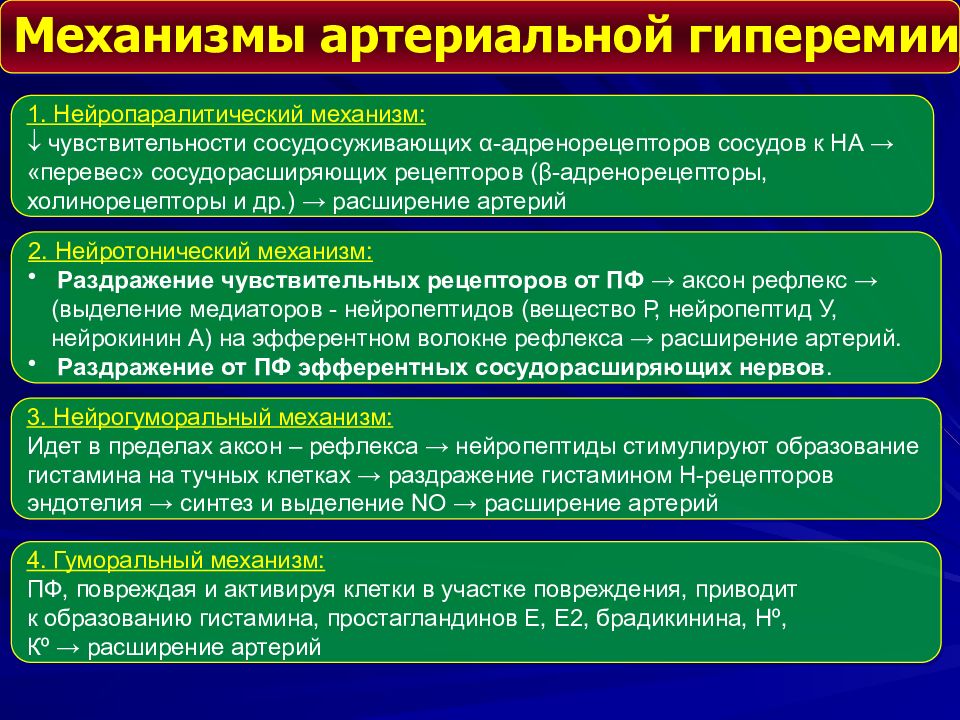 Артериальная гиперемия воспаление. Гуморальный механизм развития артериальной гиперемии. Артериальная гиперемияvt[fybpvs возникновения. Механизм развития артериального полнокровия. Механизмы возникновения артериальной гиперемии.