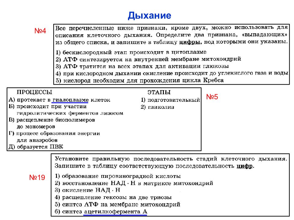 Егэ биология дата. Типы обмена веществ. Метаболизм типы питания. Обмен веществ виды обмена веществ. Обмен веществ задания.