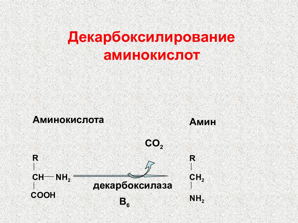 Декарбоксилирование аминокислот реакция. Декарбоксилирование аминокислот биохимия. Схемы реакций декарбоксилирования аминокислот. Декарбоксилирование аминокислот в6. Общая схема декарбоксилирования аминокислот.