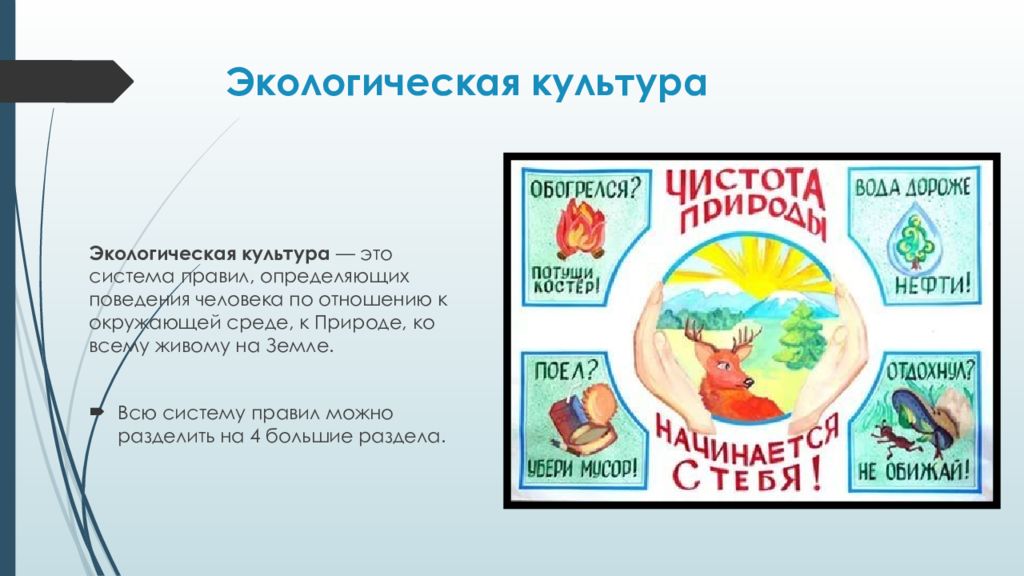 экологическая культура. программы для школьников по изучению экологии окружающей среды. термин экологическая культура. экологическое воспитание школьников. экологическое воспитание в школе.