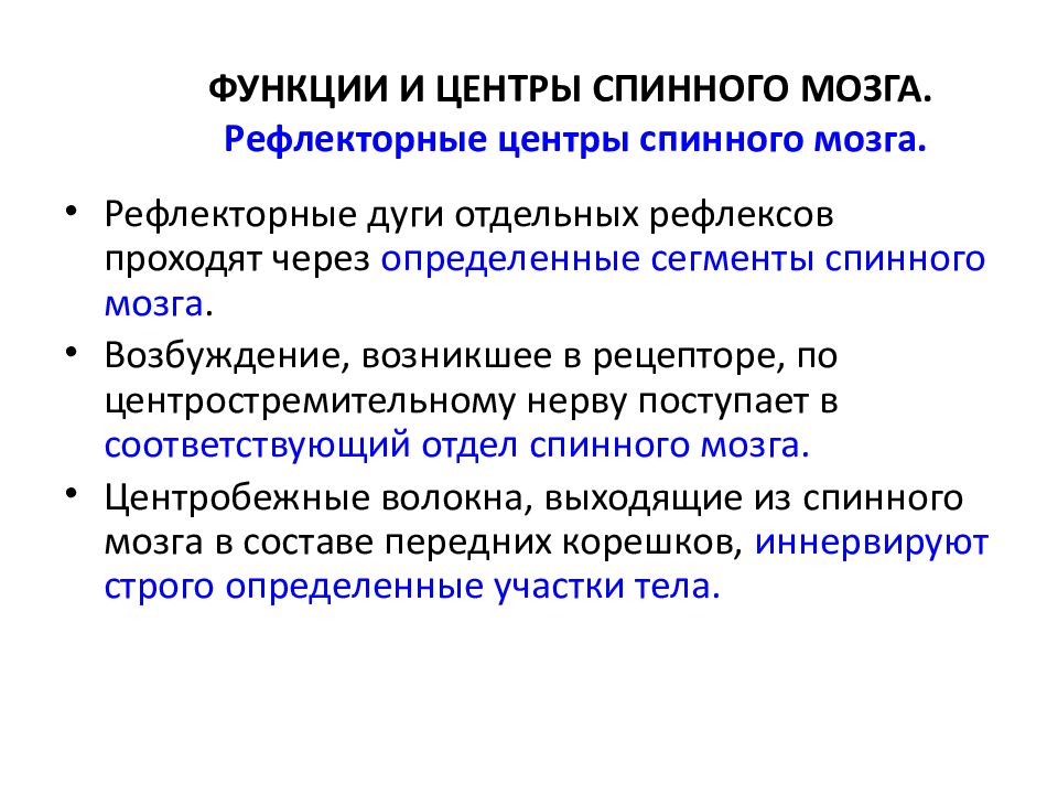 Центры спинного мозга функции. Центры спинного мозга функции