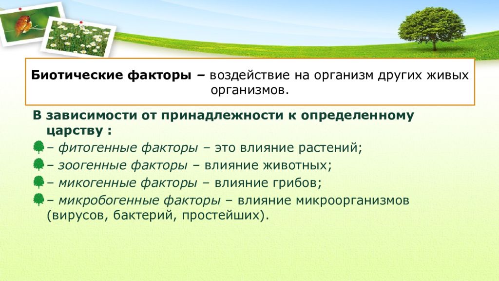 Презентация биотические факторы среды 11 класс профильный уровень