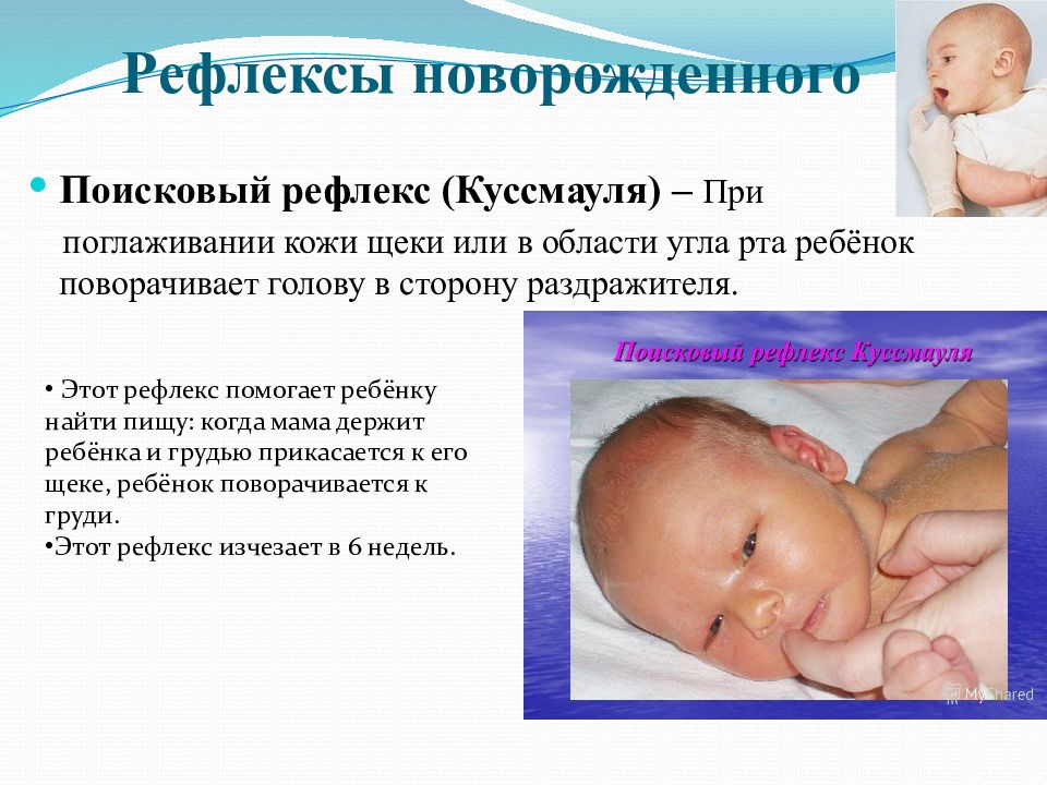 Физиологические особенности ребенка в период после рождения