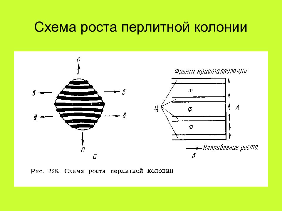 Схема роста. Схема зарождения и роста двух перлитных колоний. Рост колоний схема. Размер перлитных колоний.