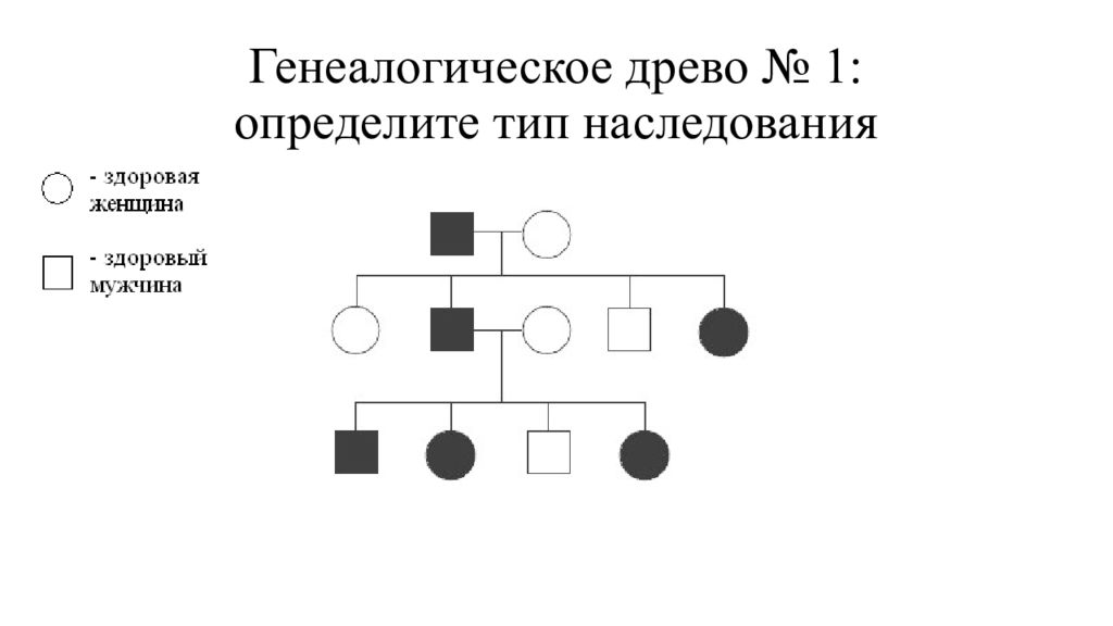 Определите вид наследования. Родословная митохондриального наследования. Митохондриальное наследование схема родословной. Митохондриальный Тип наследования на родословной. Генеалогическое Древо с митохондриальным типом наследования.