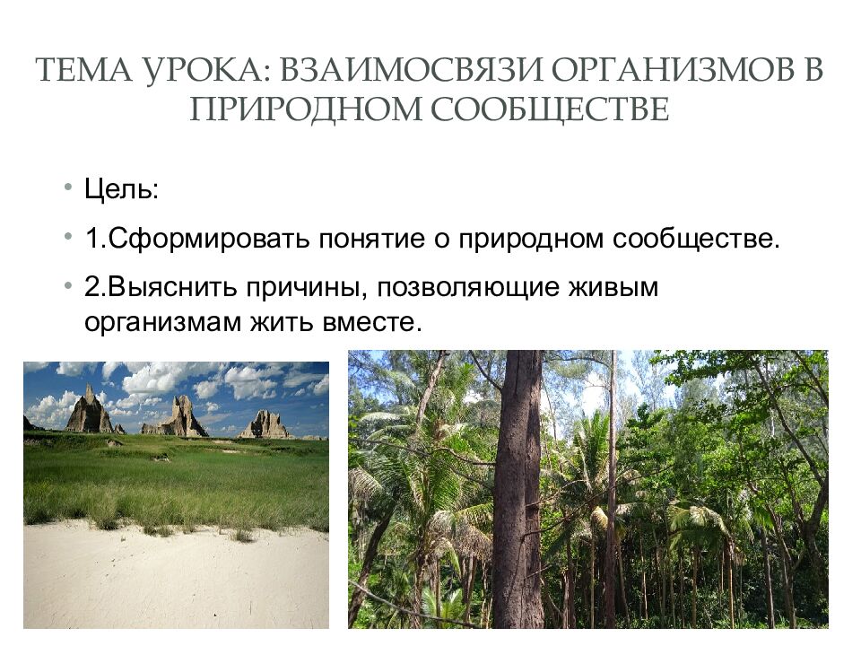 Тема урока: Взаимосвязи организмов в природном сообществе
