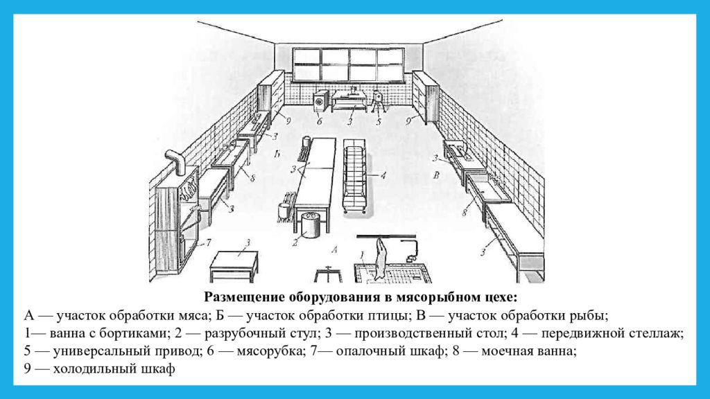 Схема цеха с расстановкой оборудования рыбного цеха