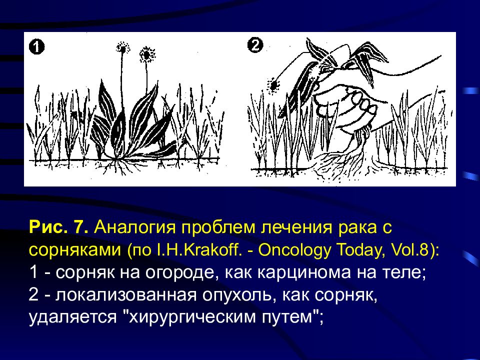 Общий рак. Аналогии проблем. В чем суть данной аналогии сорняка в огороде и конфликта?.