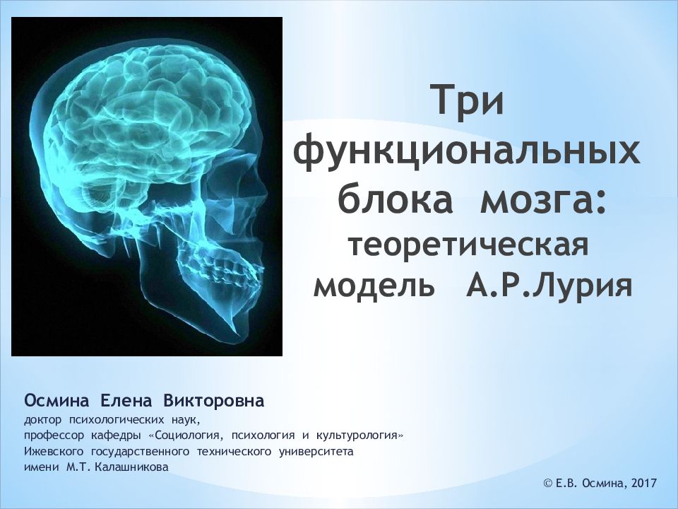 Модель мозга Лурия. Структурно-функциональная модель мозга. Три функциональных блока мозга. Структурно-функциональная модель мозга а.р Лурия.