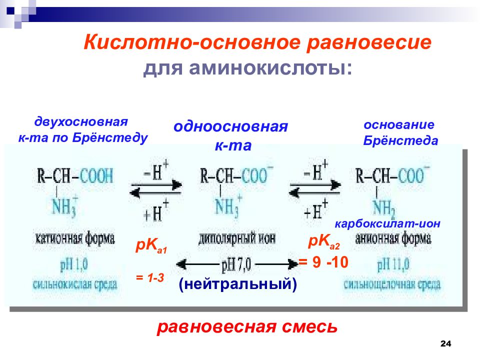 План конспект аминокислоты 10 класс